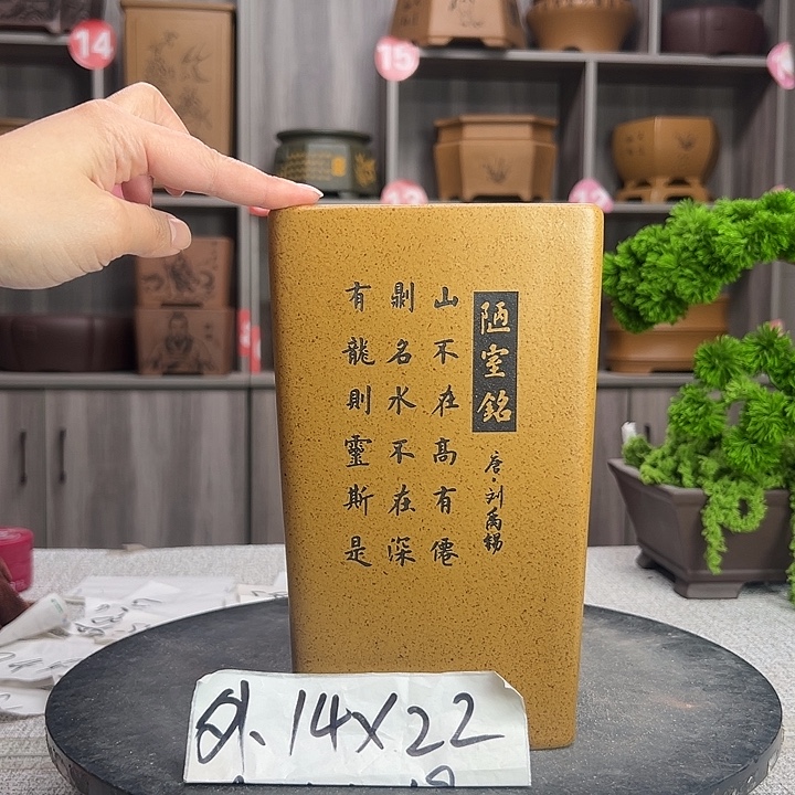 花盆紫砂紫砂第一