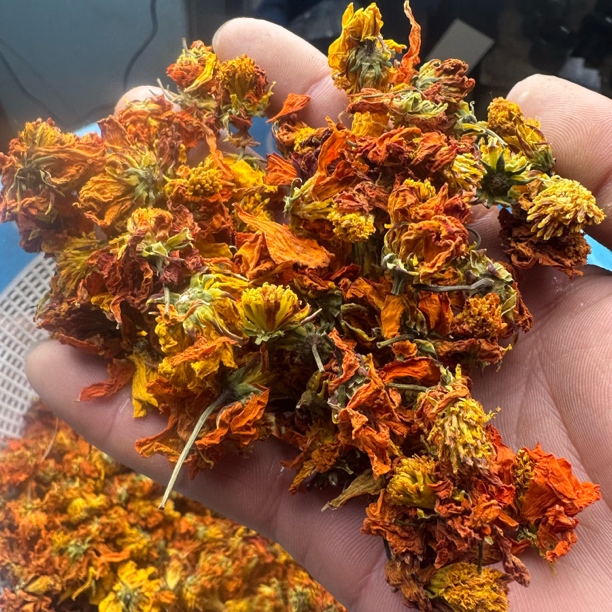 冰菊西藏山货干货高海拔