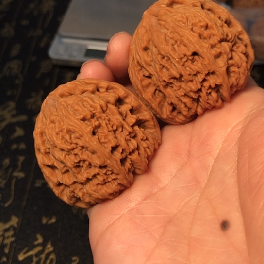 齐***宾把件文玩核桃窝头丑疆45mm