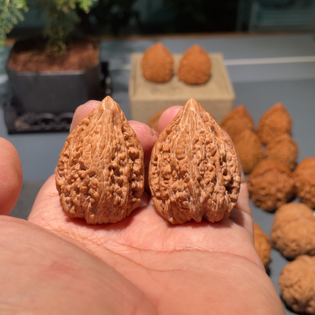 文玩核桃把件无***猫31