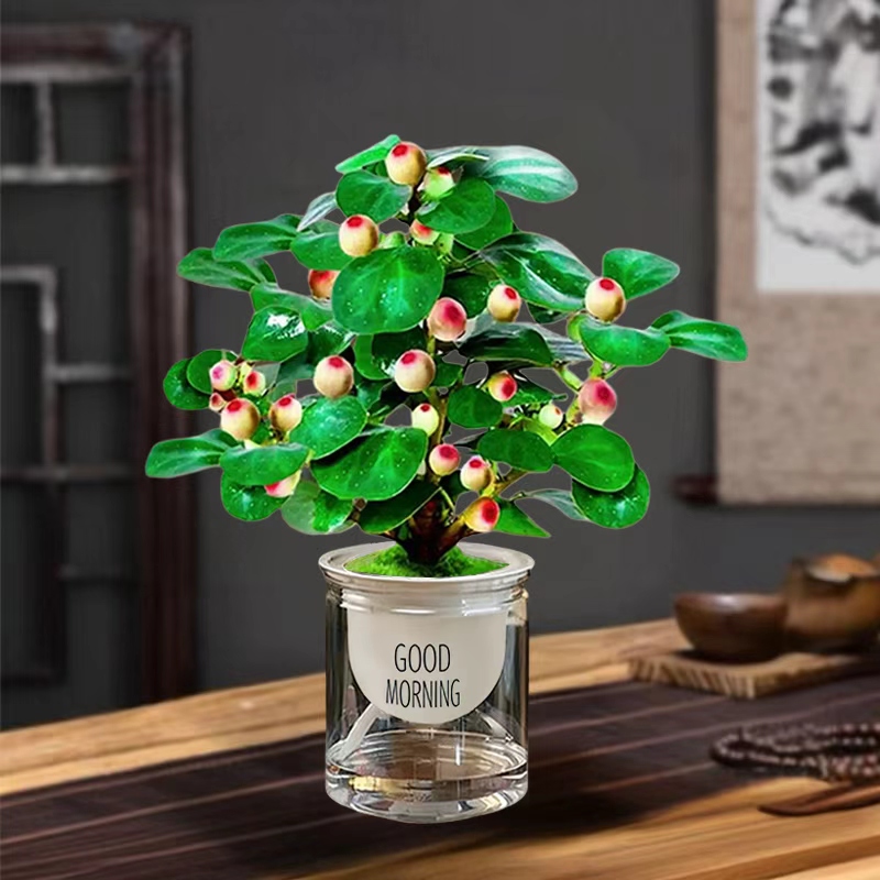 【菩提树15果 水培花盆】盆栽禅意植物室内绿植客厅摆件好养小盆景