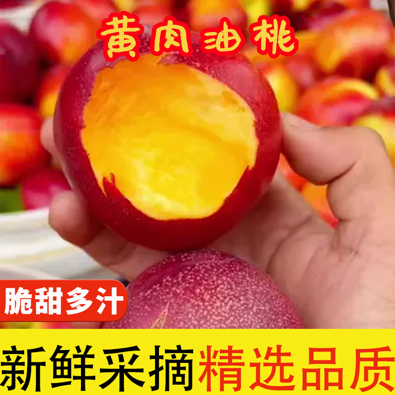 正宗砀山黄肉油桃新鲜采摘脆甜多汁软糯甜孕妇水果坏果包赔整箱
