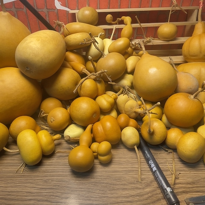 森***林哈哈哈哈哈哈哈哈哈