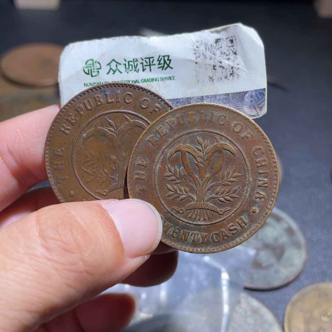 金博古通今肉丸95
