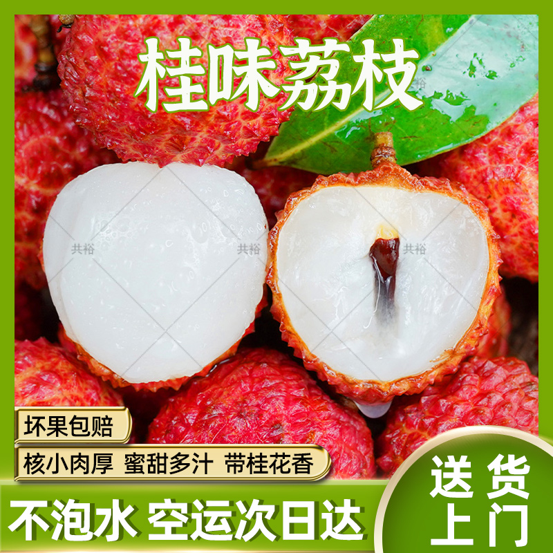 【顺丰次日达】广东增城桂味荔枝现摘鲜果新鲜不泡水应季水果整箱1/3/5/10斤包邮荔枝同城送广东省