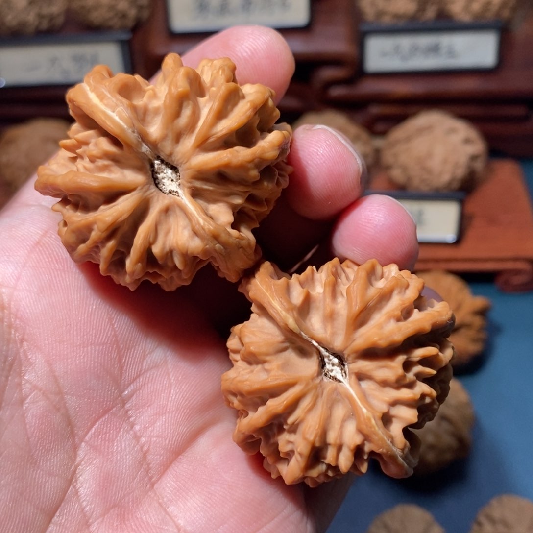 文玩核桃把件曹大龙全品