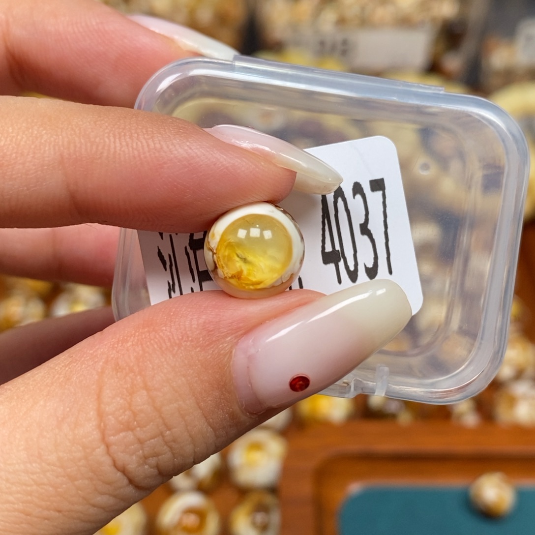 蜜蜡未镶嵌珠宝奇石4037