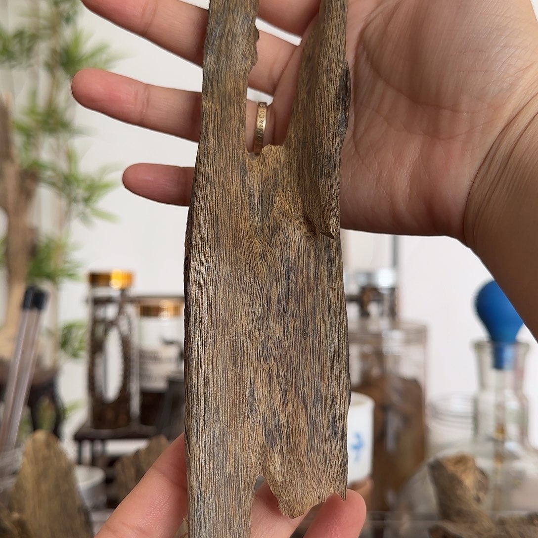 沉香沉香碎屑精品一代蓝香虫漏把件41克+