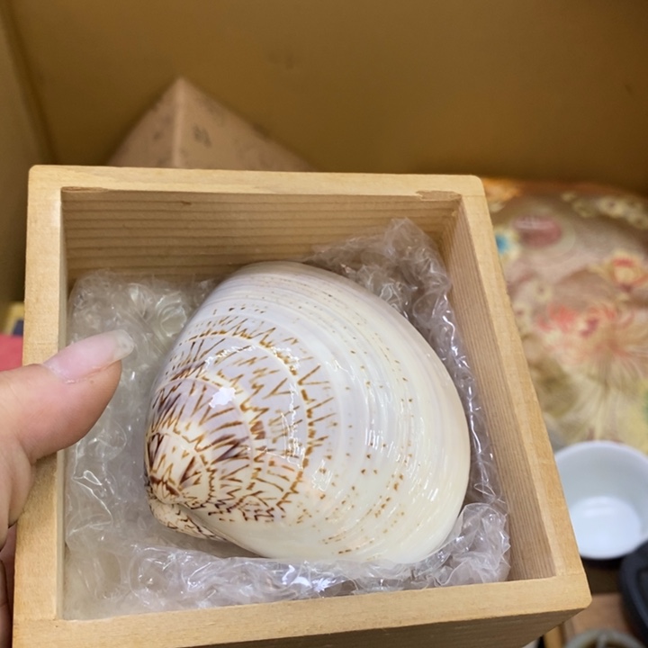 瓷片哦哦哦哦哦哦哦哦哦哦