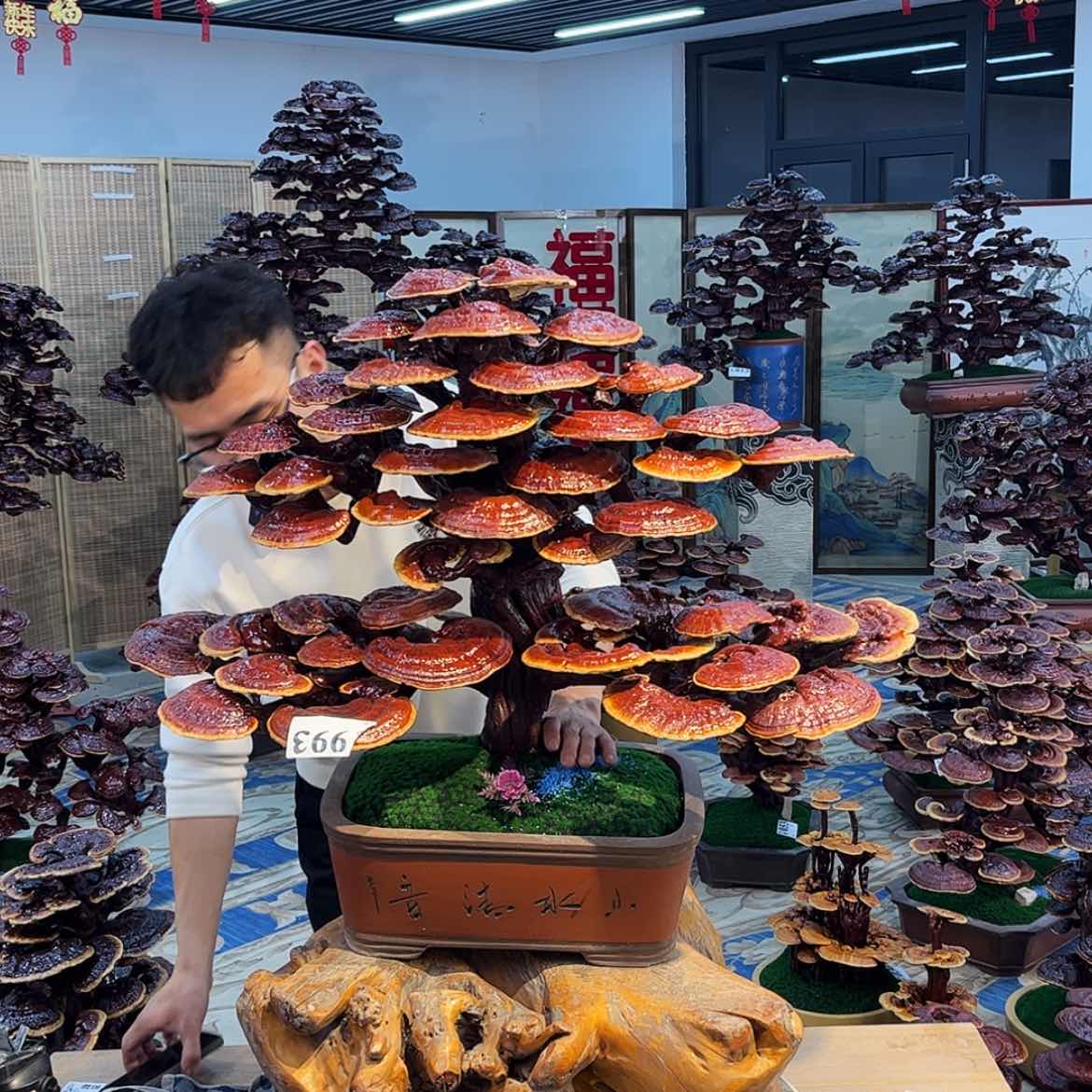 【闪购商品】88888