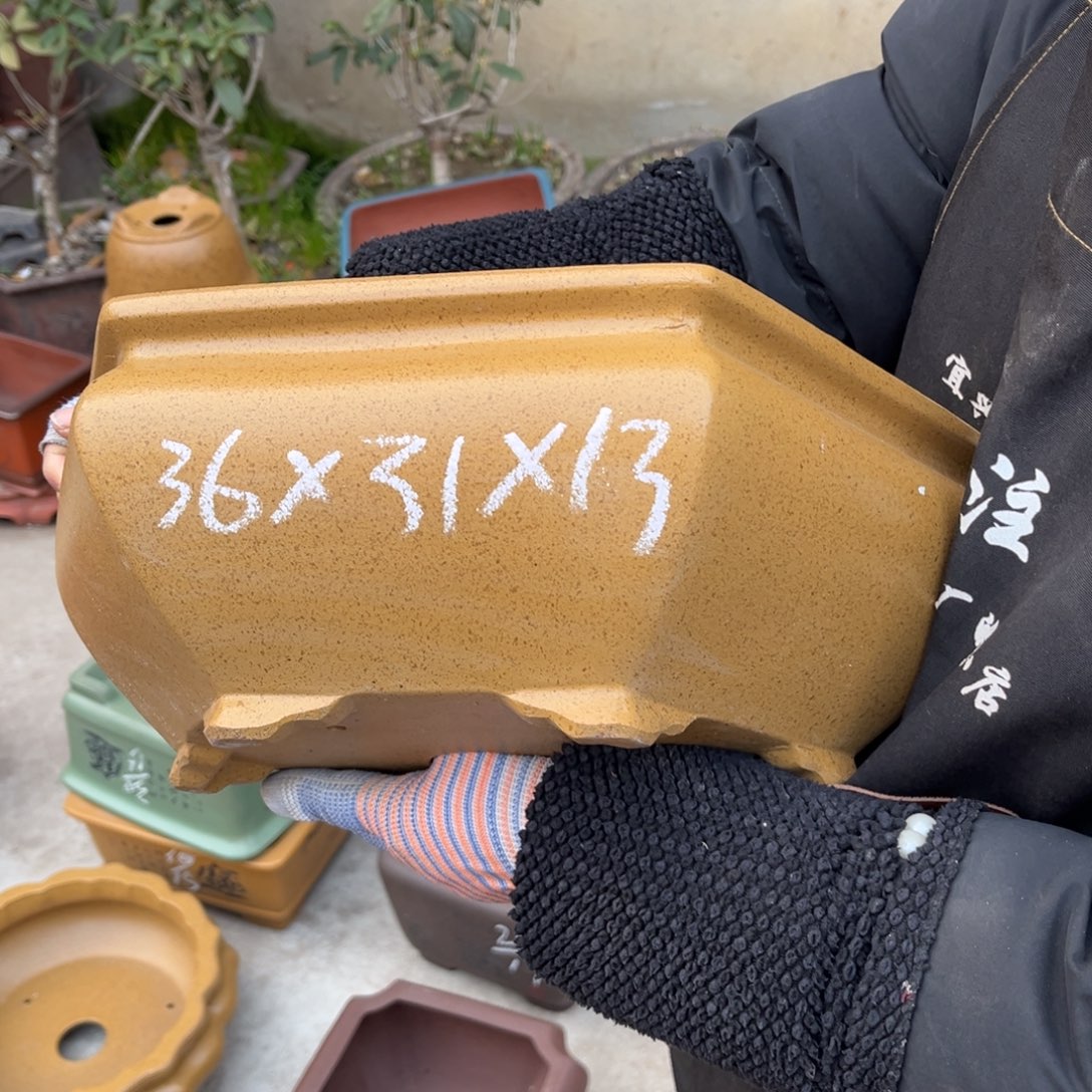 紫砂花盆盆景艺术