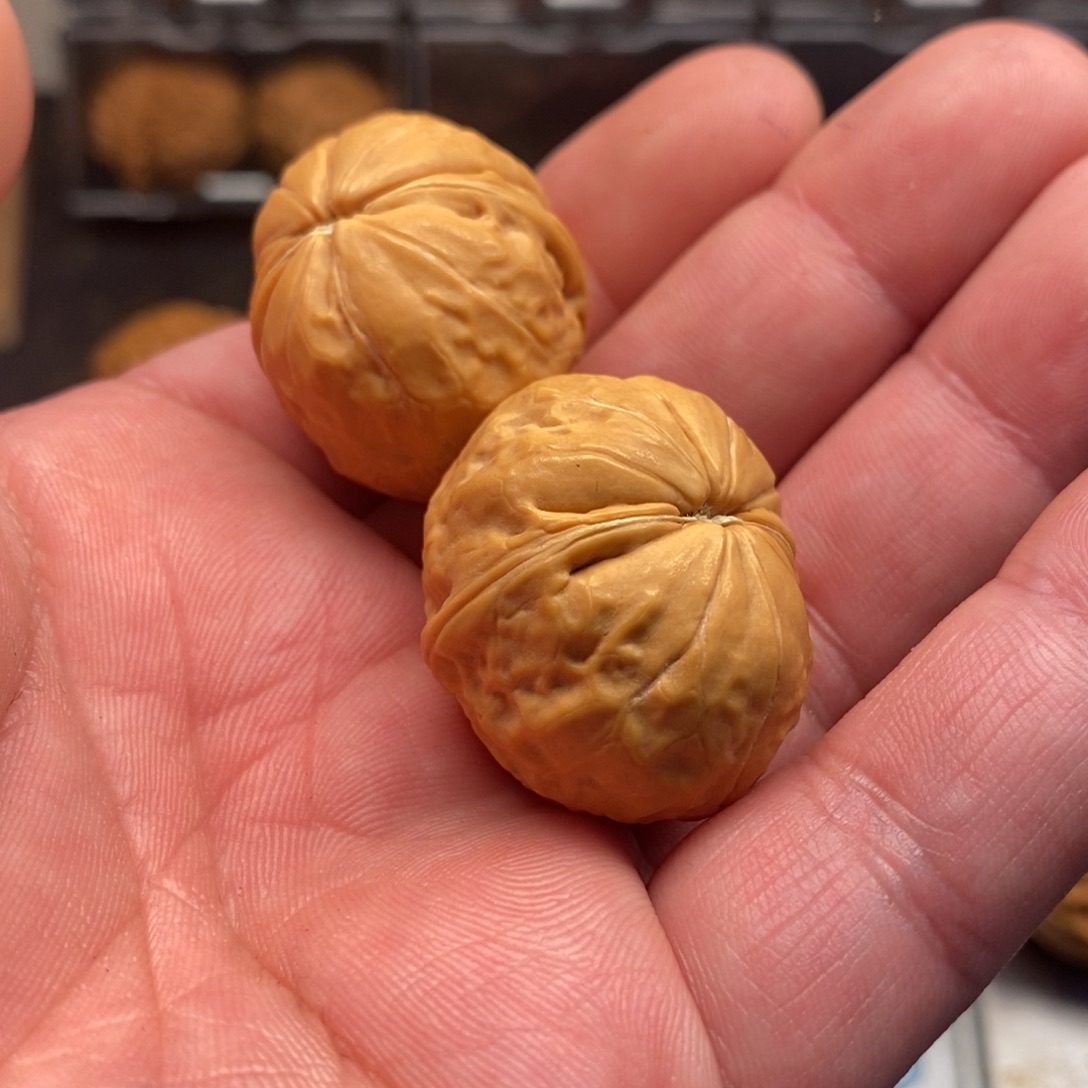 文玩核桃吊坠小金豆