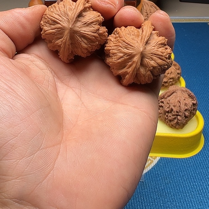 吊坠桃核野狼练手对