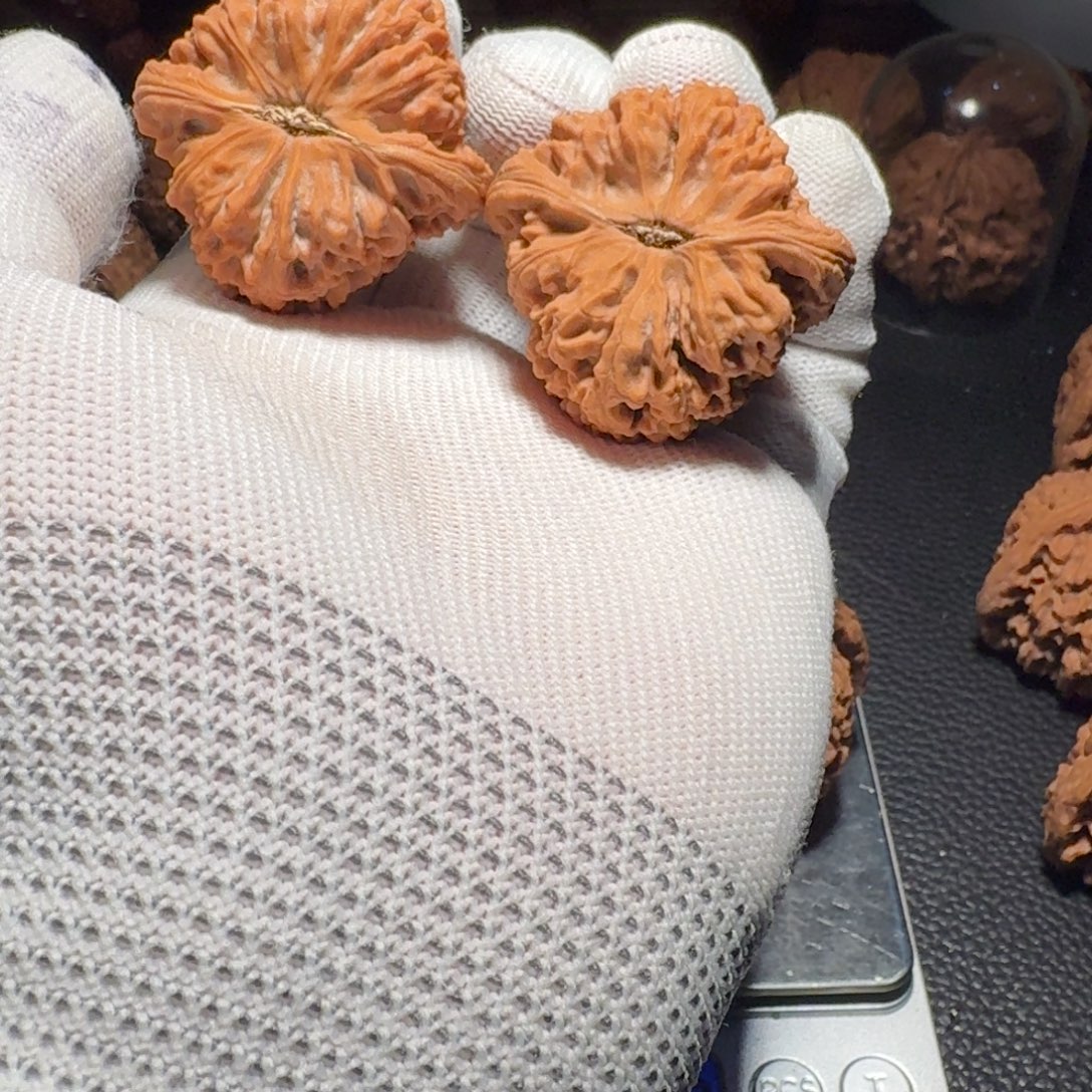 相***斌文玩核桃吊坠有色差有黄