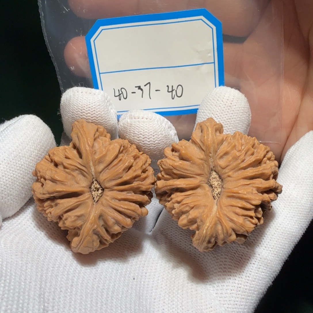 吊坠文玩核桃南疆凹底妖刀留疤24
