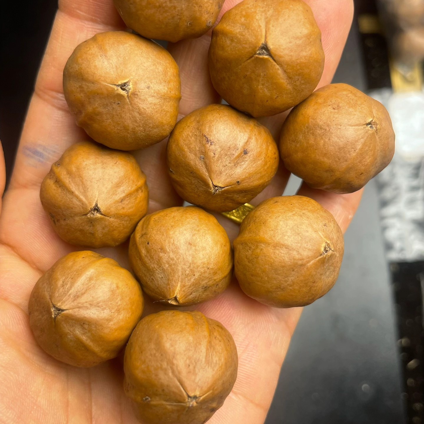  大三花老树梅林原生态橄榄核精品手串