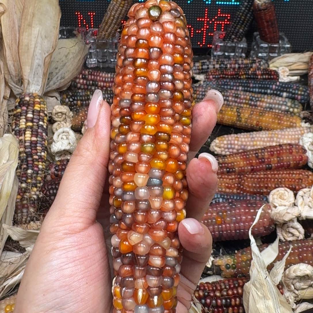 柏香籽/百香籽吊坠咻*咻