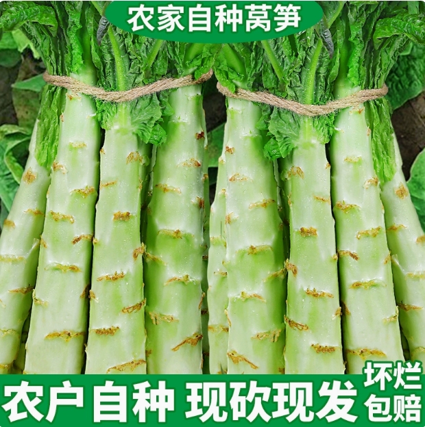 贵州莴笋农家蔬菜莴苣青笋时令小菜火锅配菜光杆不带叶包邮