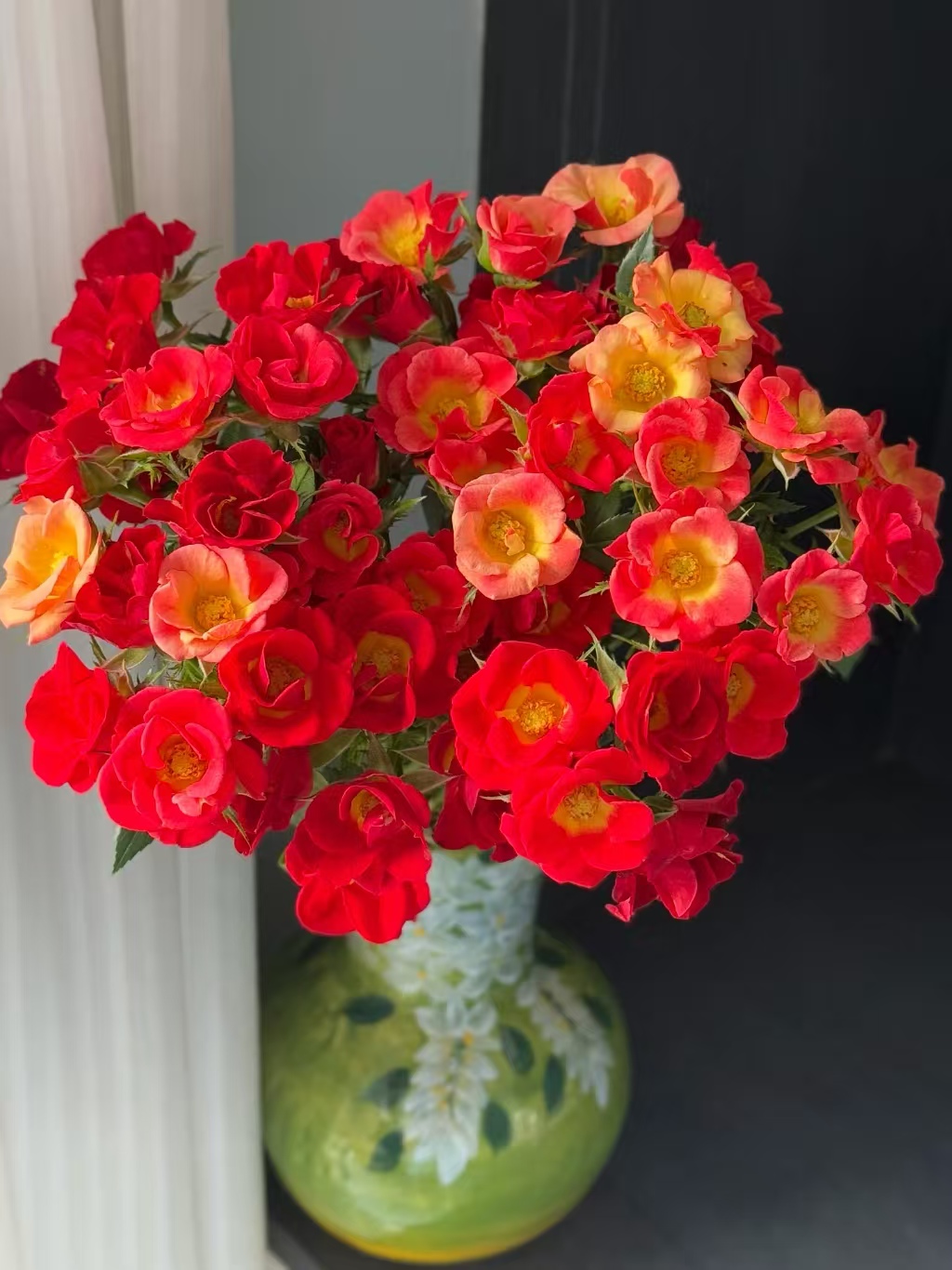 【花汀私享】小红花-稀有多头玫瑰（注意带包装醒花哦~）