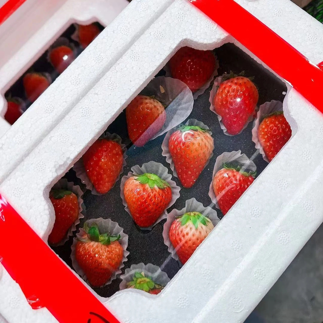 小天窗草莓 发一箱