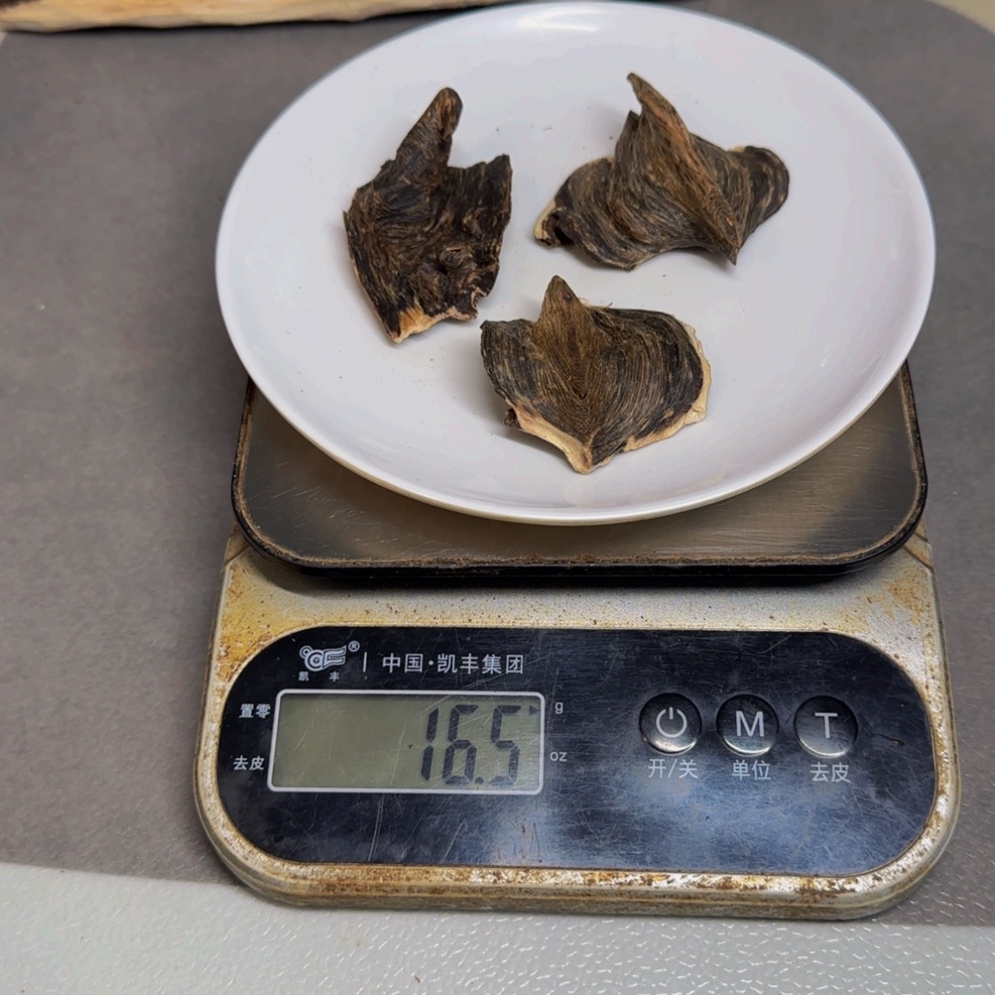 木虎 斑 棋 壳 子 16.5克