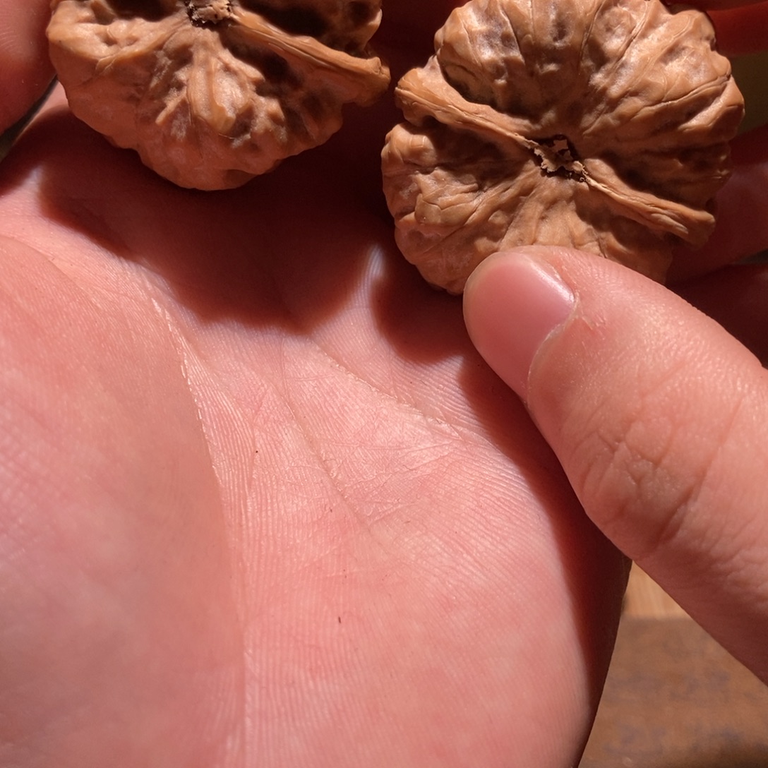 王***、吊坠文玩核桃蛤蟆头D45