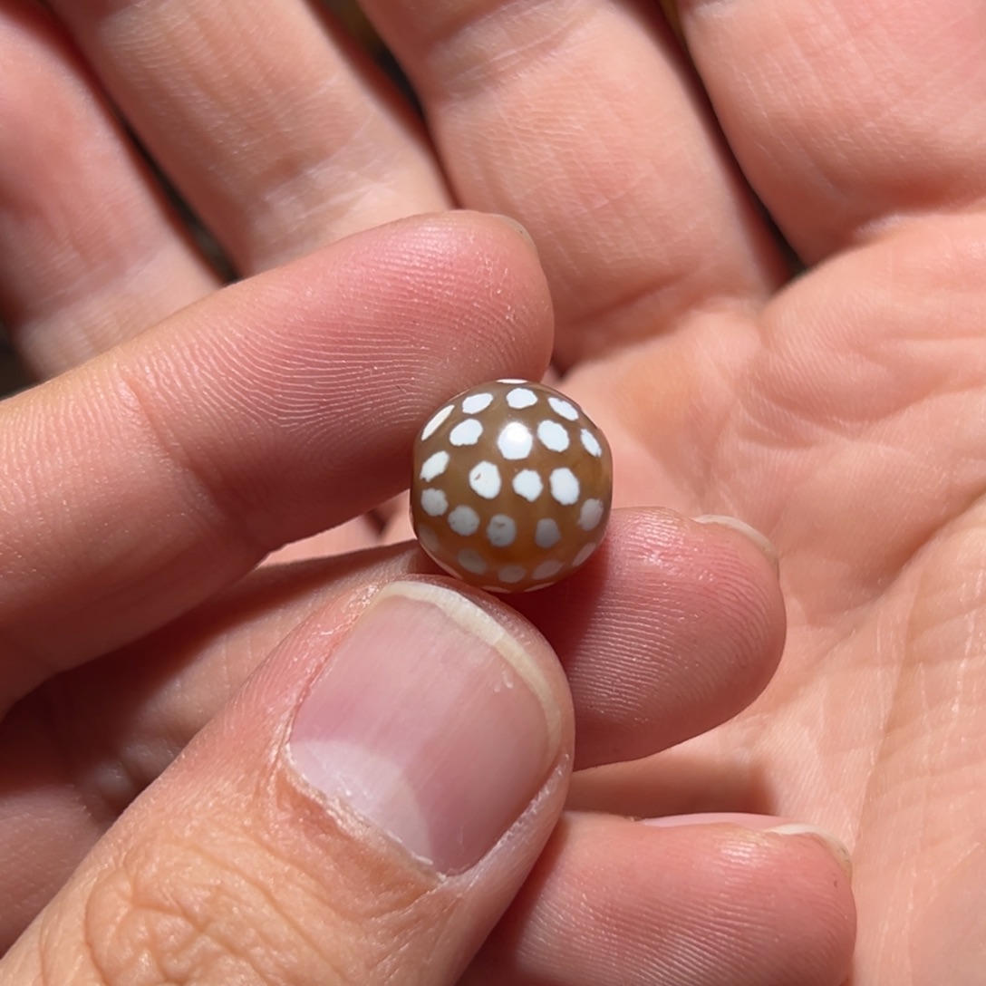 玛瑙/玉髓珠宝奇石未镶嵌