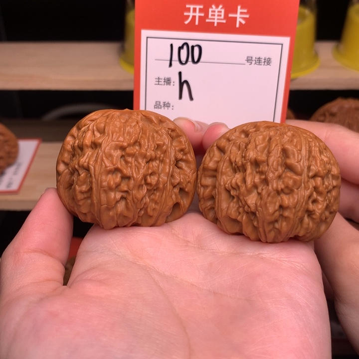 核桃42白狮子100号