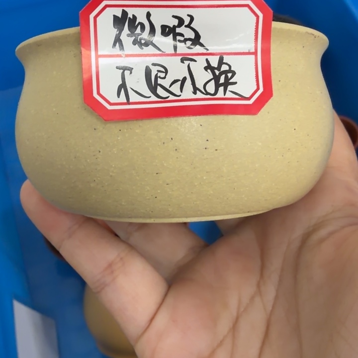 茶壶紫砂宜兴原矿梨皮