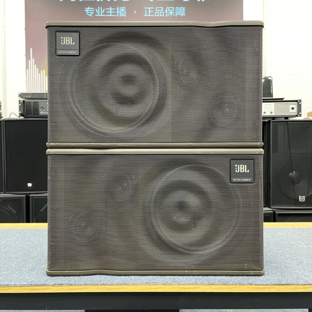 9新  10寸卡包音箱一对（9新）