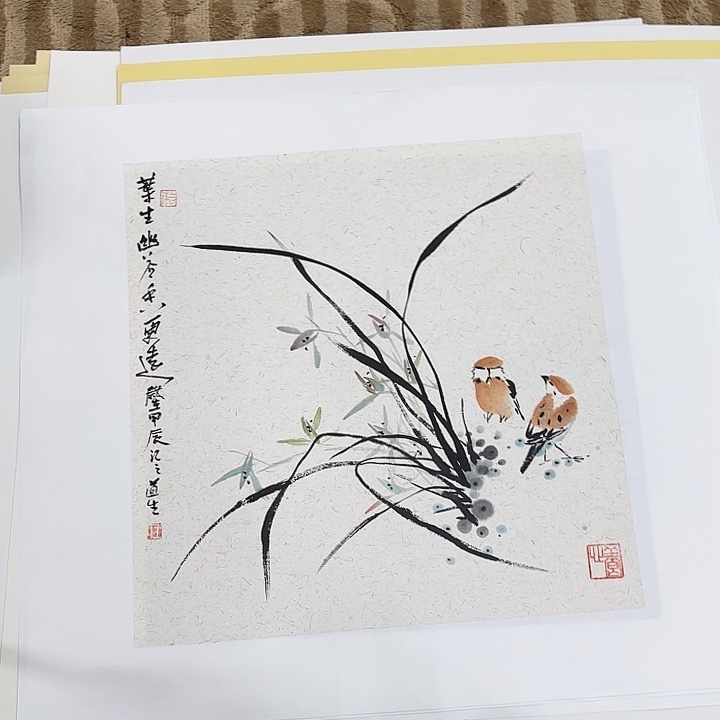 国画花鸟等多种鸟类和鸟类