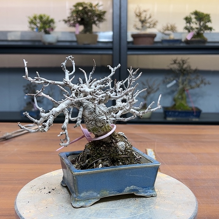 红陶；****〆陶盆陶盆