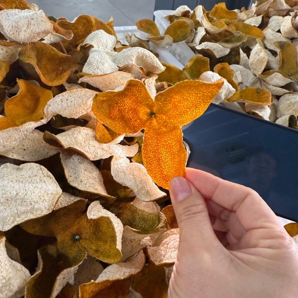 新会梅江圈枝老树大红柑皮纯天然生晒花蜜香干仓储存