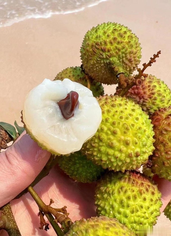 京东冷链妃子笑新鲜荔枝广东应季新鲜水果老树果园现摘现发包邮