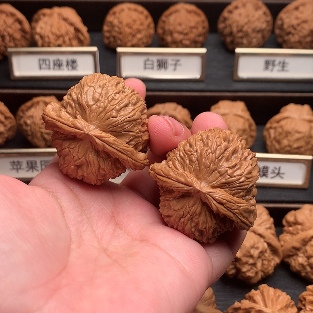 文玩核桃吊坠88号白狮子龟背42+