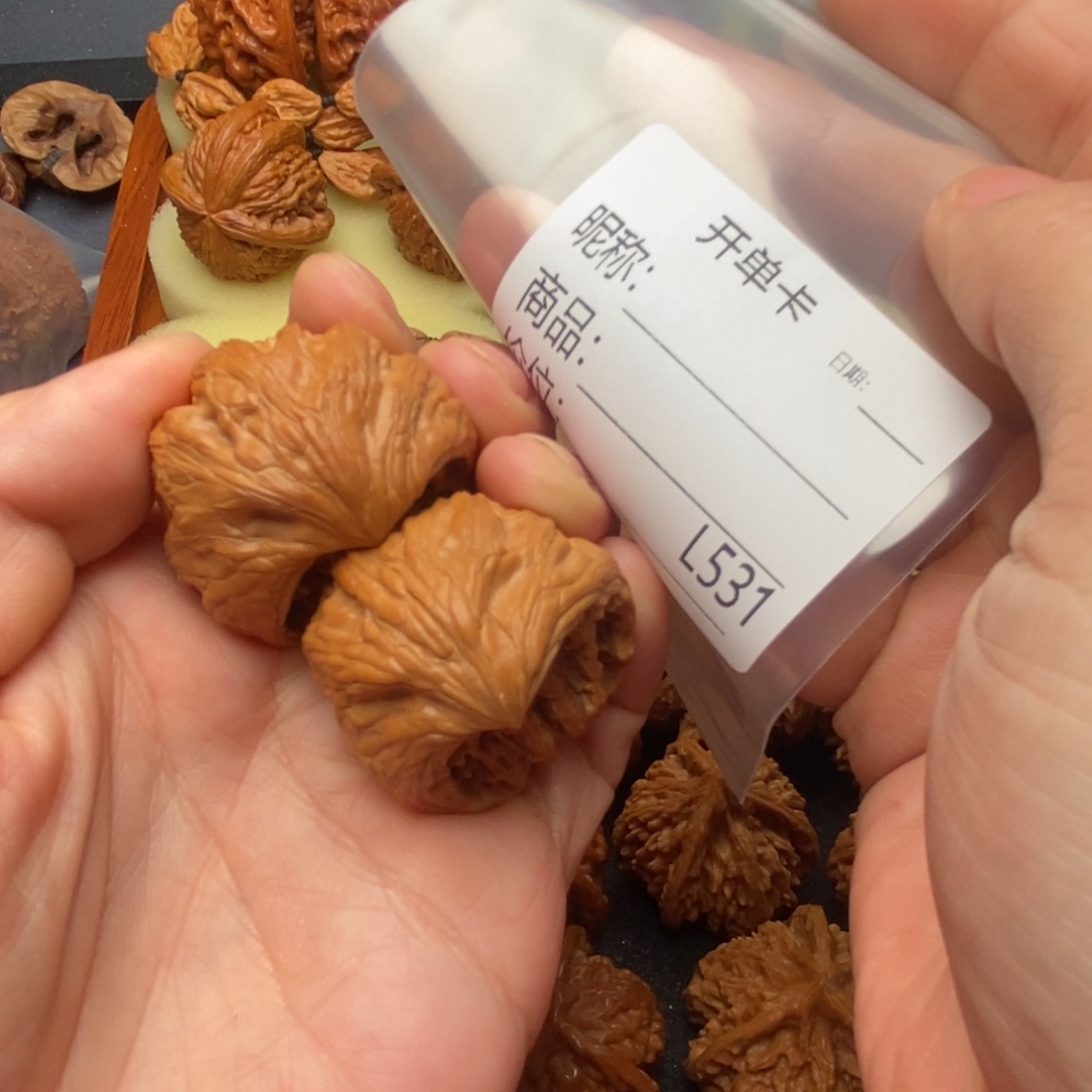 恐***龙文玩核桃把件35精品大沽石眼镜蛇