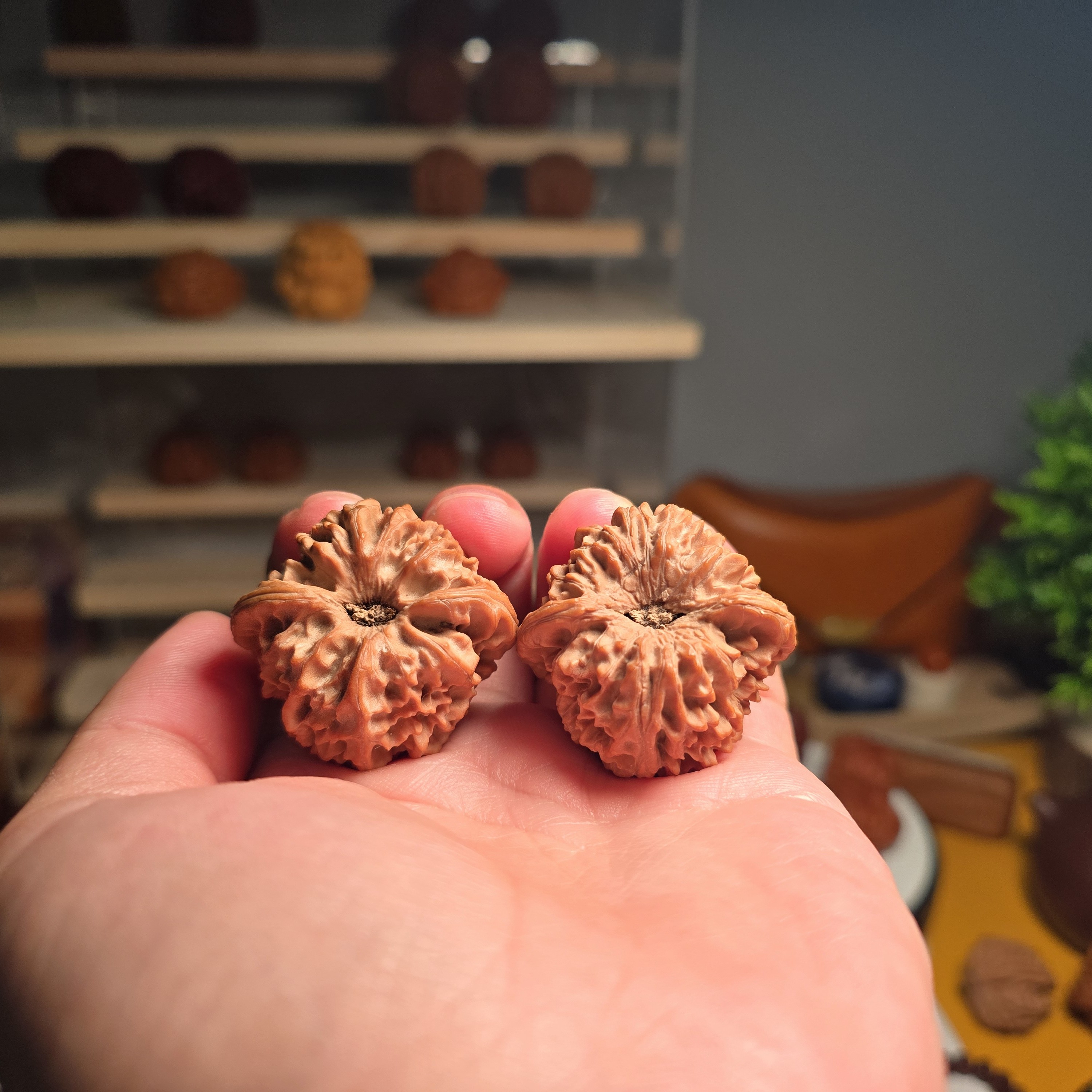 38龙门涧，尖部微修