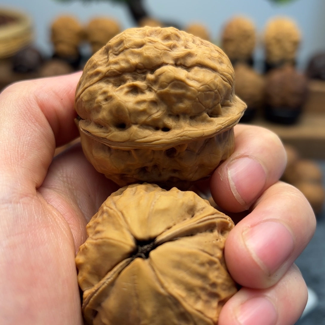 文玩核桃把件铁核桃17-26