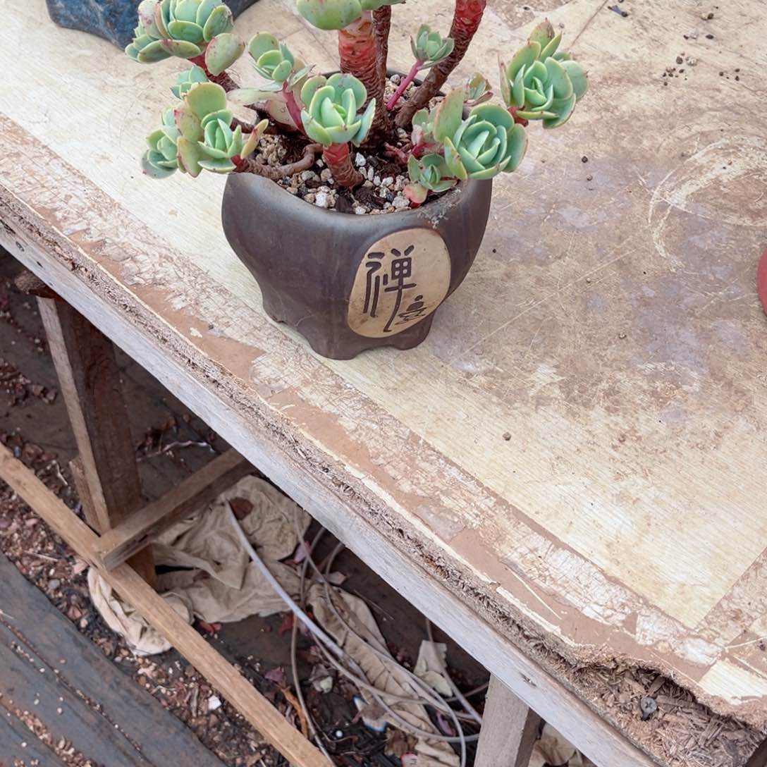 你是否还记得你曾经