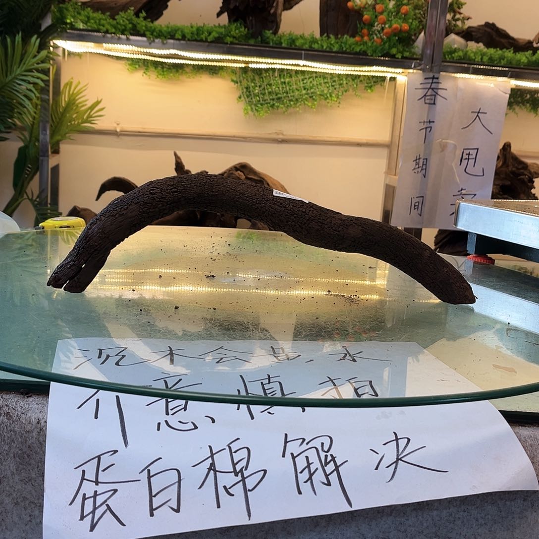 柚木沉木鱼缸造景