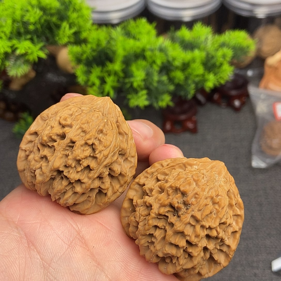 核桃满天星41尺寸编号001