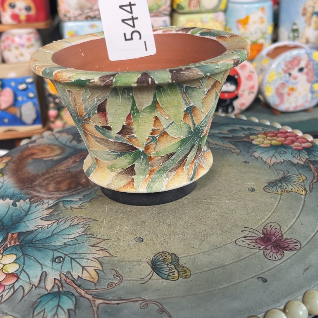 玛***治544多肉花盆55元1个