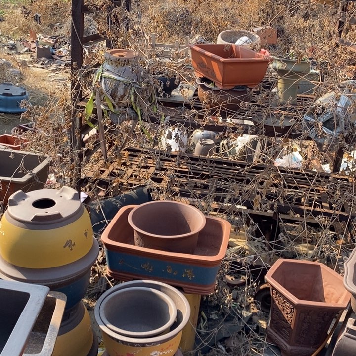 红陶这个世界上没有那么多人的