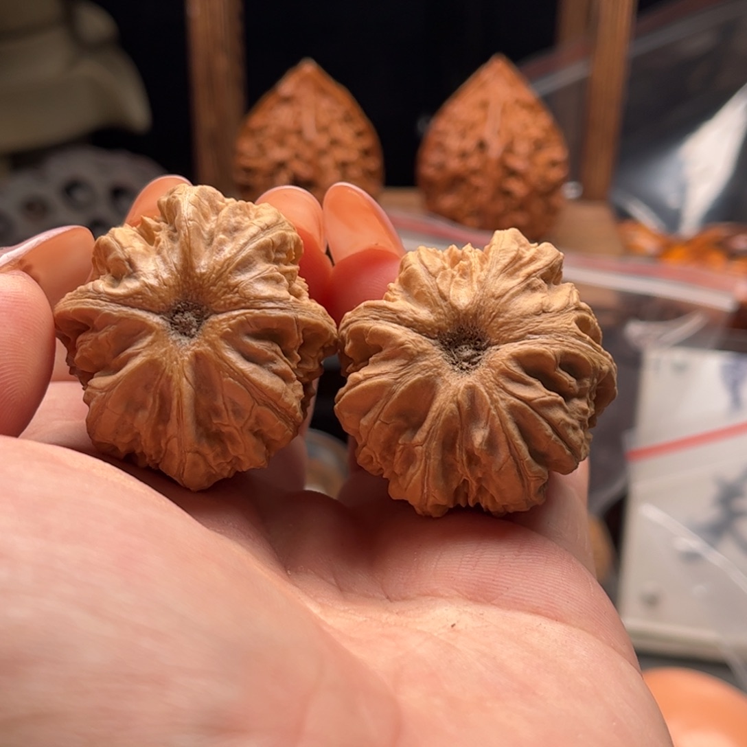 文玩核桃把件关东木子家楸大胖90