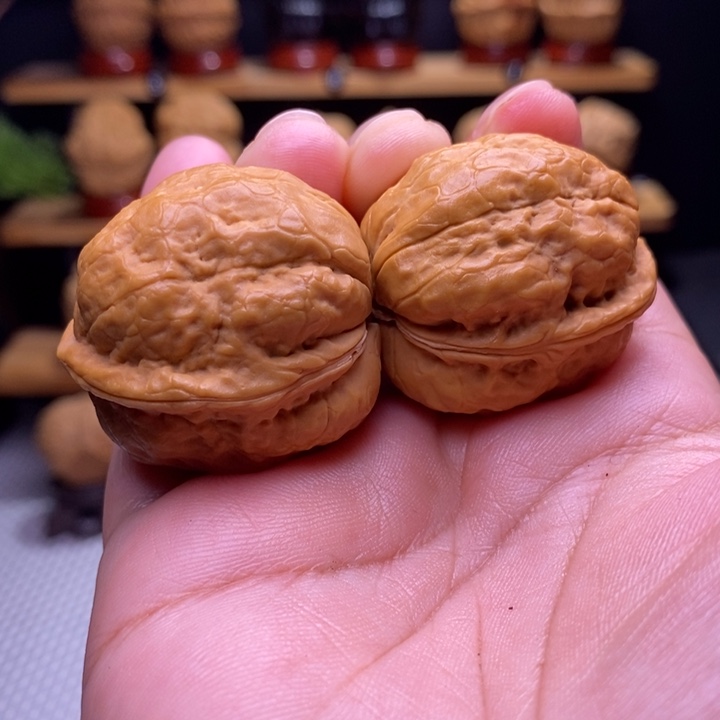 木质类云铁小玉蟾23号