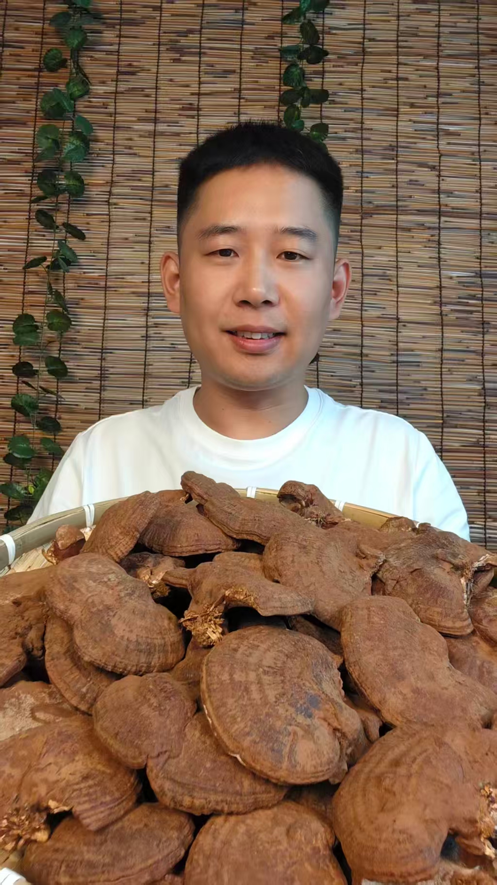带孢子粉的紫林芝自然晾晒无提纯二次蒸煮不苦煲汤煮水炖肉半斤
