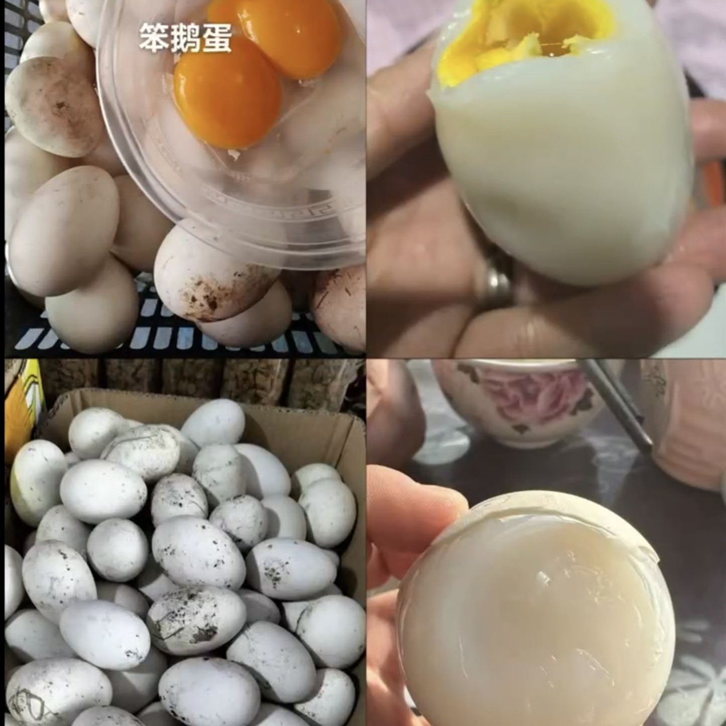 农村散养粮食喂养的大鹅蛋 现捡现发货保证新鲜