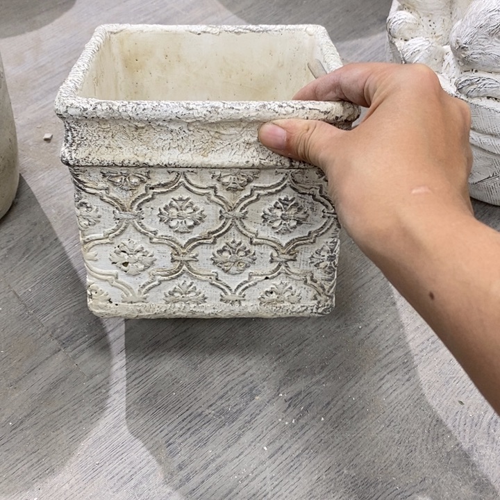 花盆649494949494 1 1 