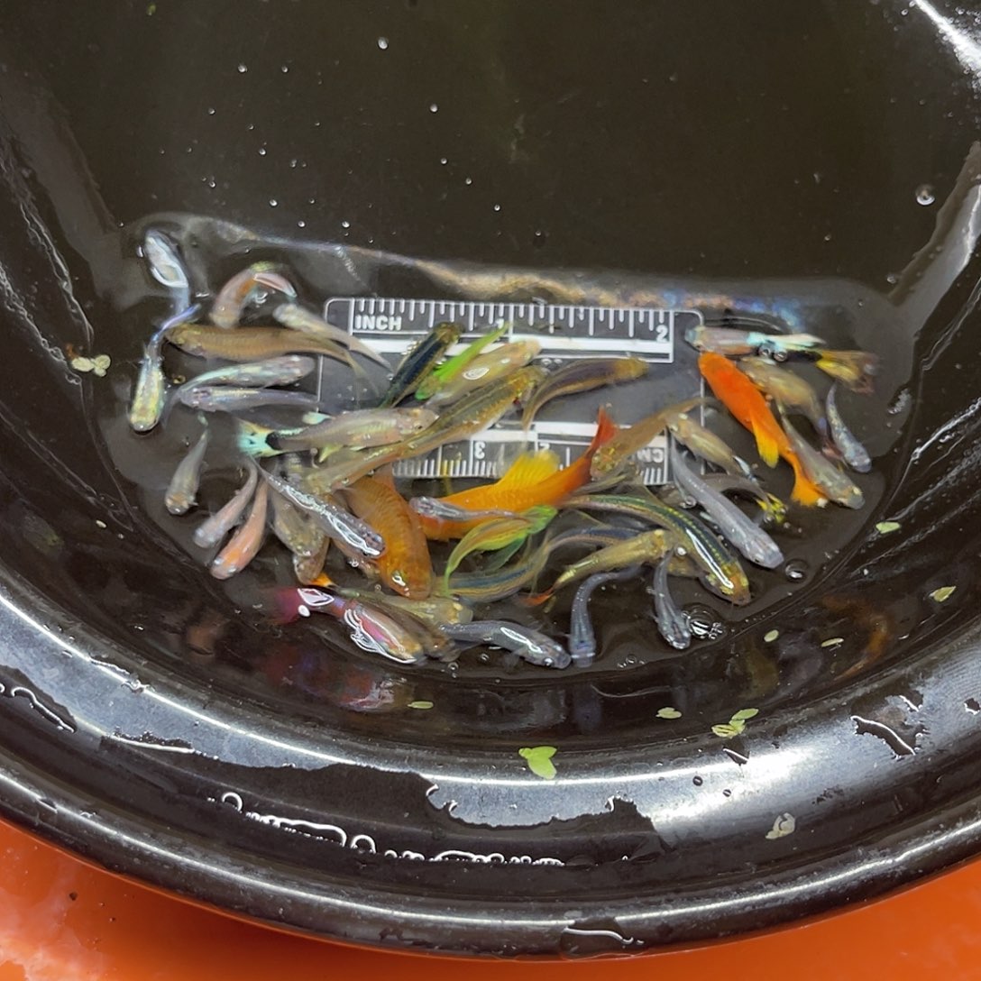 海水34号哈哈哈哈哈哈