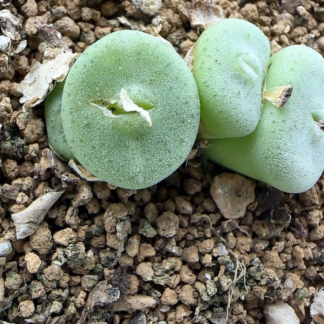 各位小主下午吉祥47616